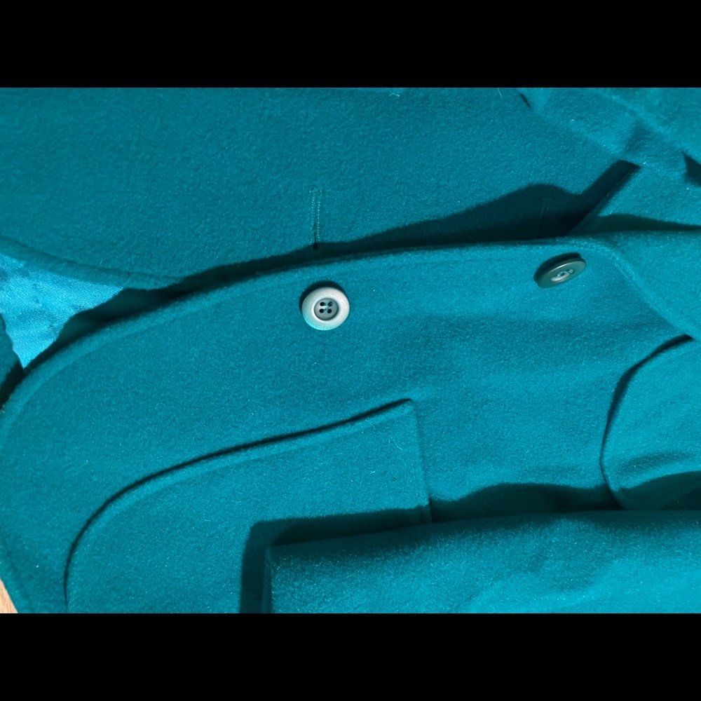 Pendleton 100% Virgin Wool, Silk Lined Jacket, Ri… - image 8